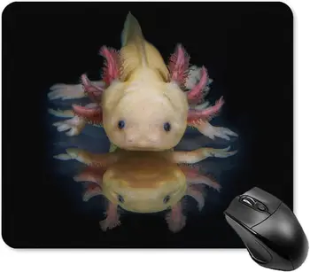 Axolotl na Temno Mouse Pad Non-Slip Računalniško Miško Mat Mousepad z Gumo, ki je Osnova za Office Home Prenosni Računalnik 20 * 25 cm