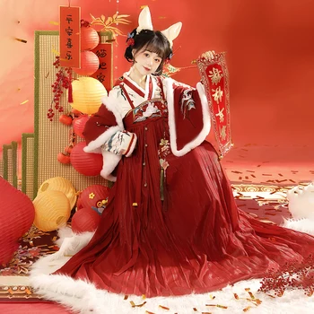 Kitajski Hanfu Žensk Elementi Dnevne Prsih Dolžina Odloži Obleko, Ruto Jesen In Zimo, Vintage Oblačila